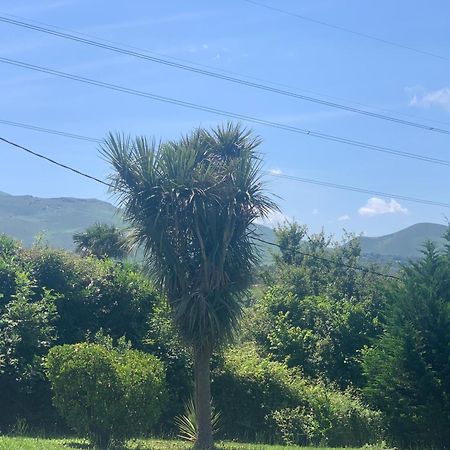 Magnifique T1 Entre Mer Et Montagne 亚斯凯恩 外观 照片